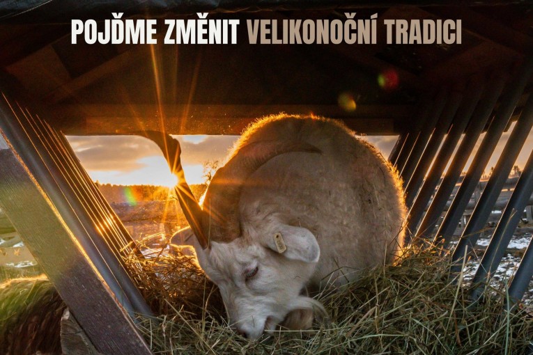 Pojďme změnit velikonoční tradici na Farmě Naděje (Dobrovítov)